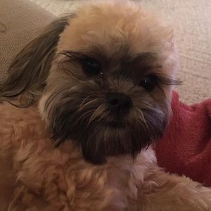 Meet your Posher, Fran